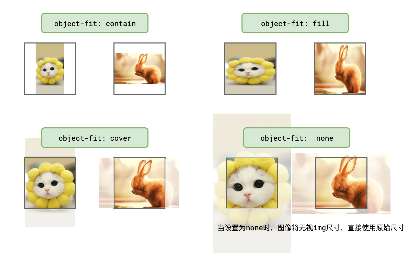 image-20210514134908